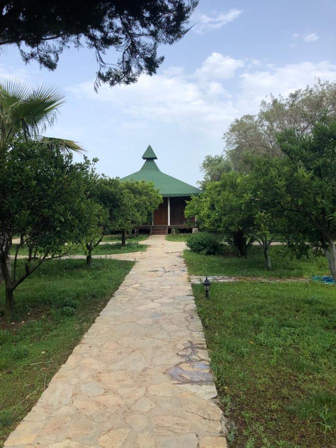 Cirali Armira Bungalow Exterior foto