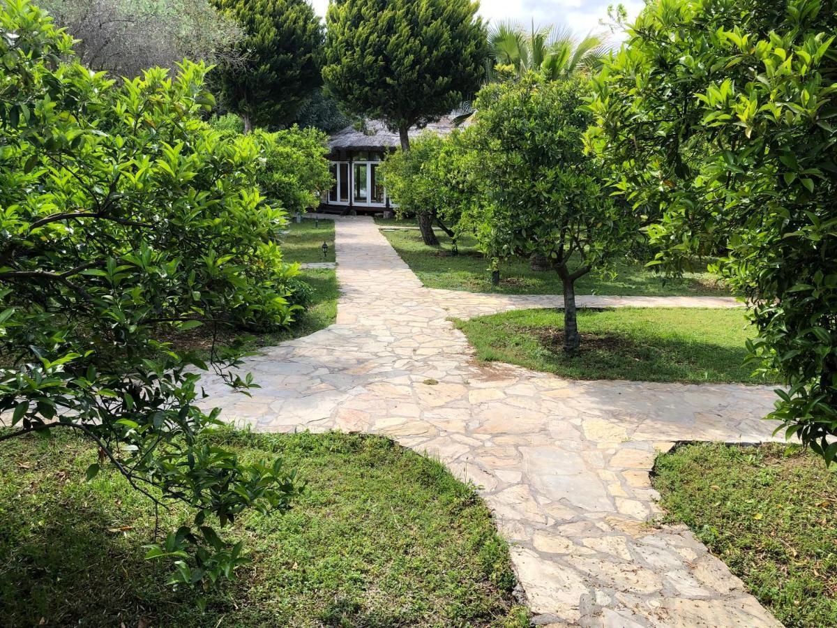Cirali Armira Bungalow Exterior foto